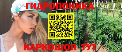 кокс Боровичи